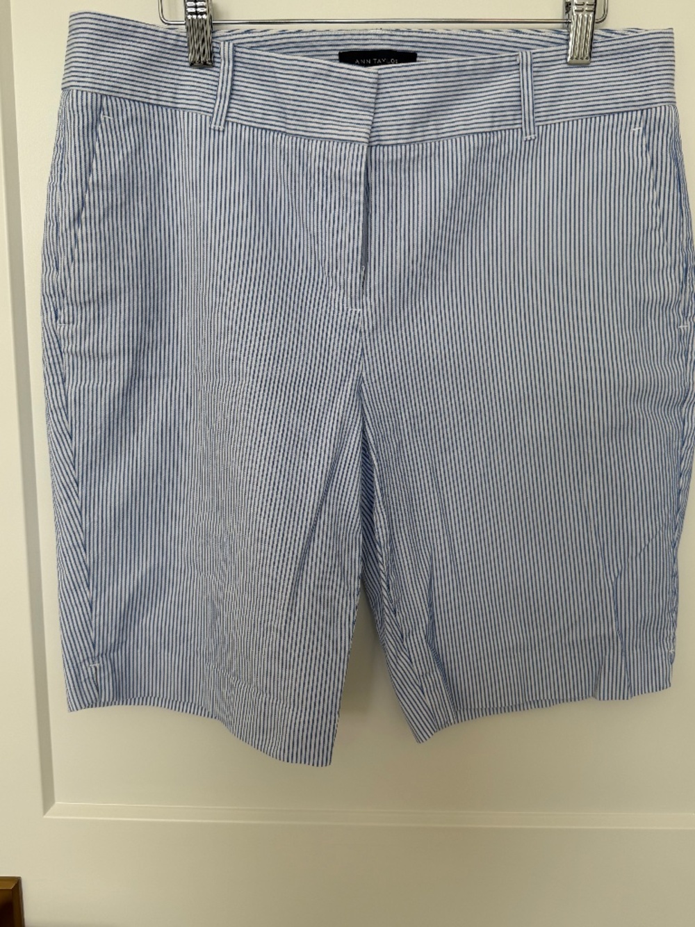 Ann Taylor Pinstripe / Seersucker Shorts (women's 10)
